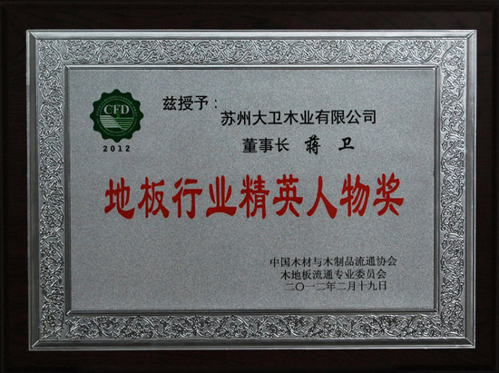 大衛(wèi)地板蔣衛(wèi)榮獲“地板行業(yè)精英人物獎”.JPG